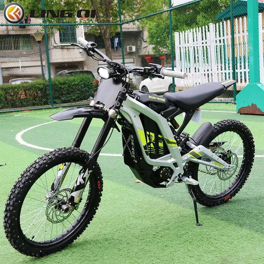 LING QI Electric Motorcycle Modification Carbon Fiber Number Plate For Light Bee X S Accessories - FashionN hub